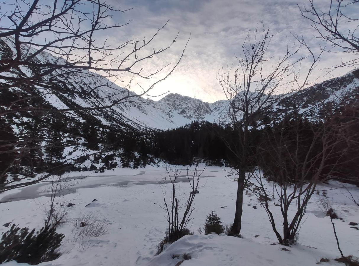 Western Tatras Slovakia Oravsky Biely Potok Exteriör bild