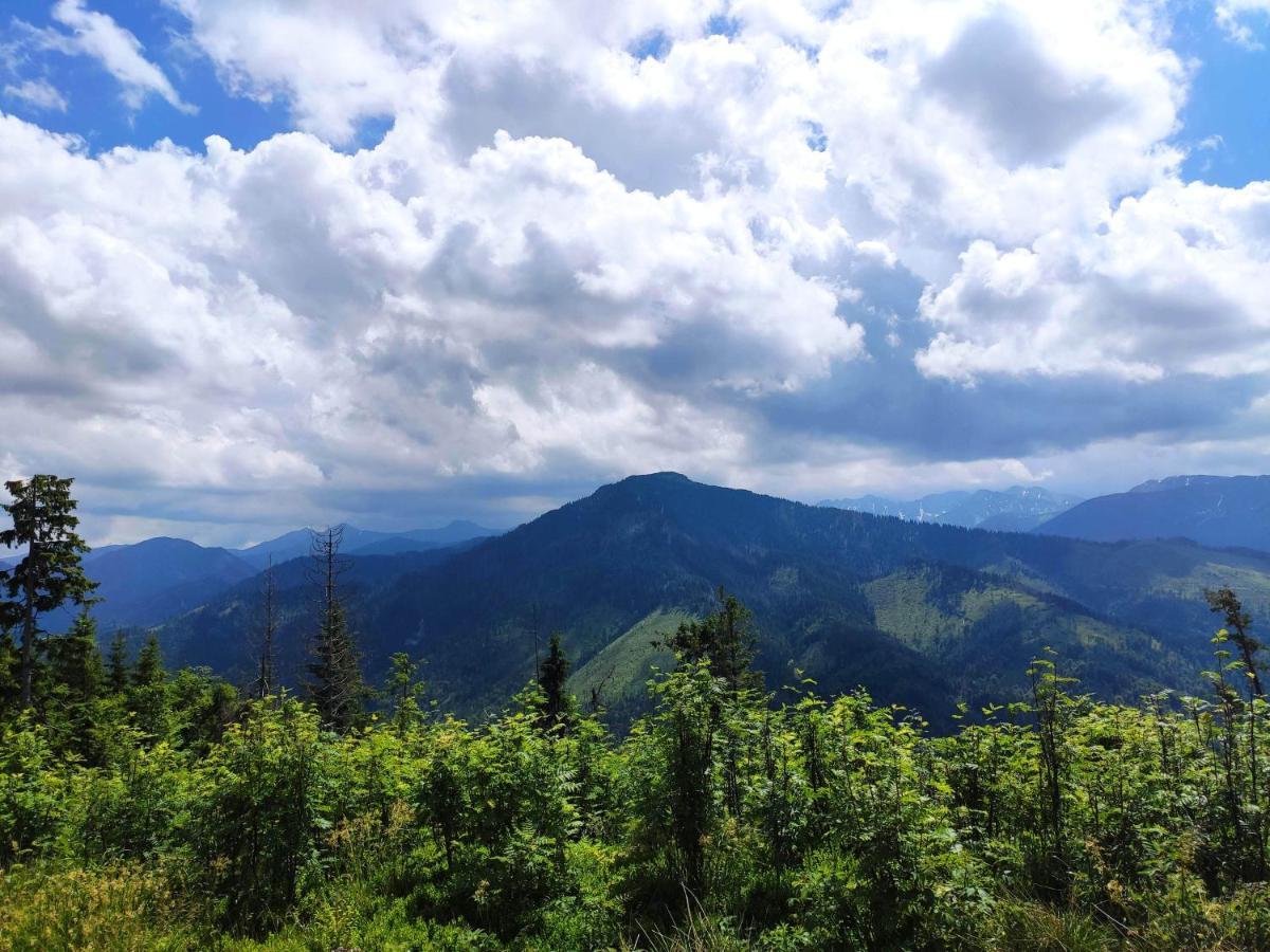 Western Tatras Slovakia Oravsky Biely Potok Exteriör bild