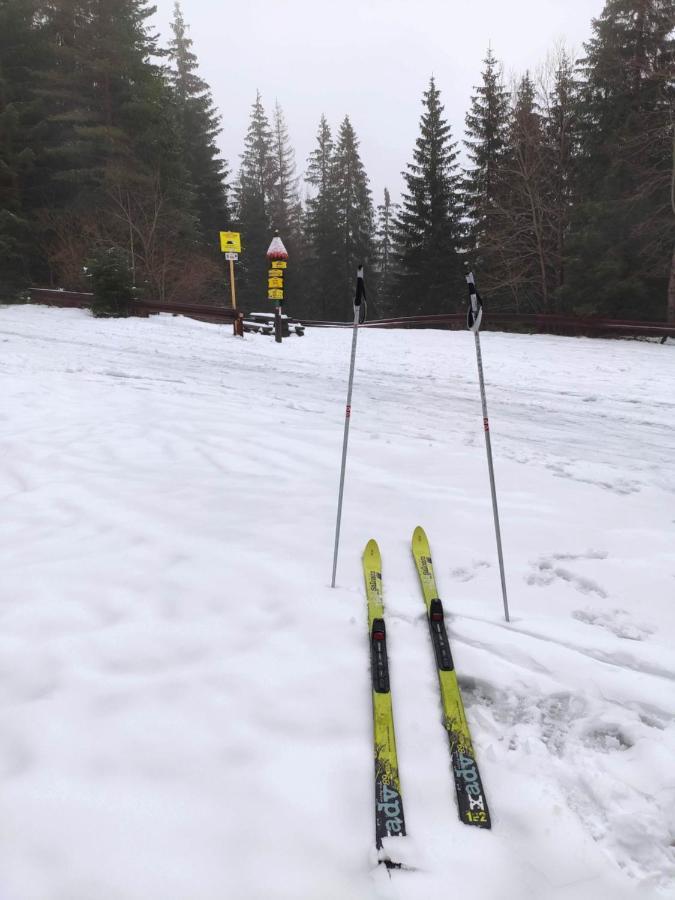 Western Tatras Slovakia Lägenhet Oravsky Biely Potok Exteriör bild