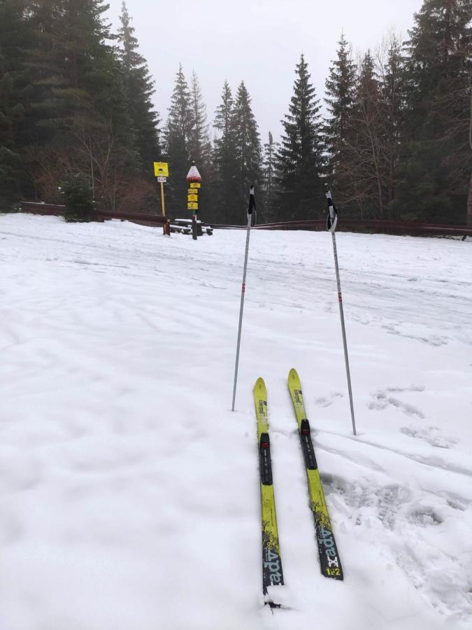 Western Tatras Slovakia Oravsky Biely Potok Exteriör bild