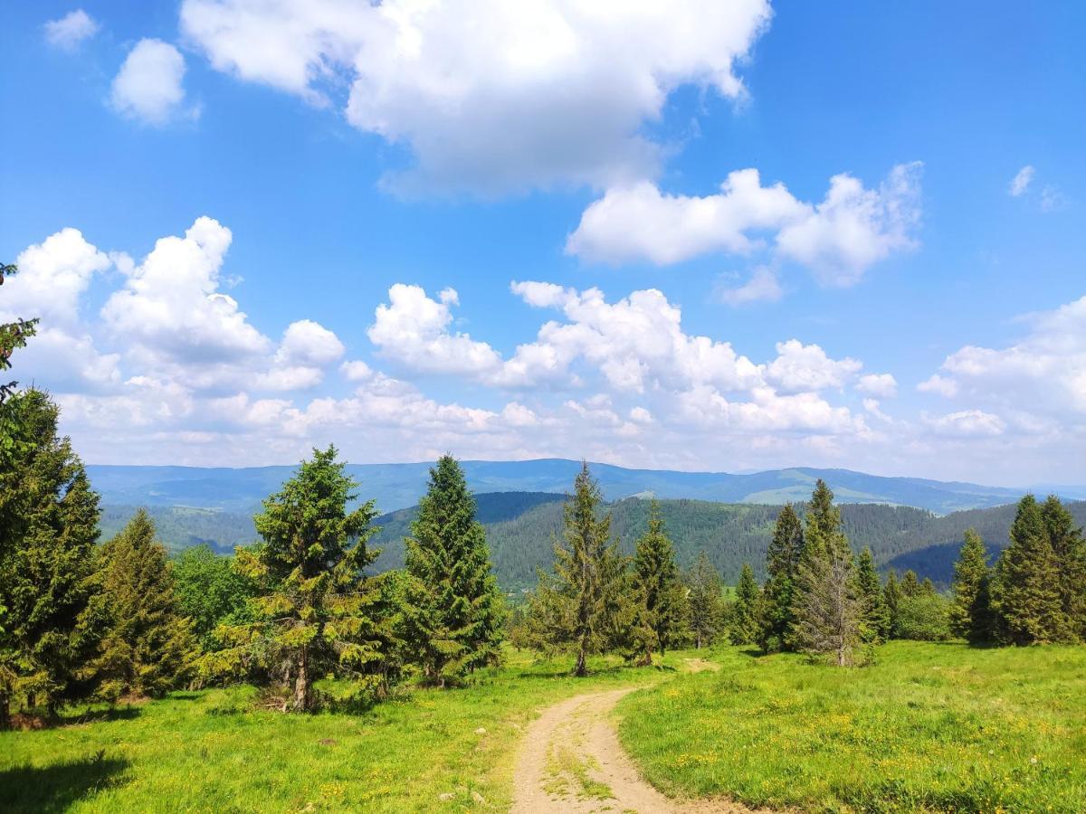 Western Tatras Slovakia Oravsky Biely Potok Exteriör bild